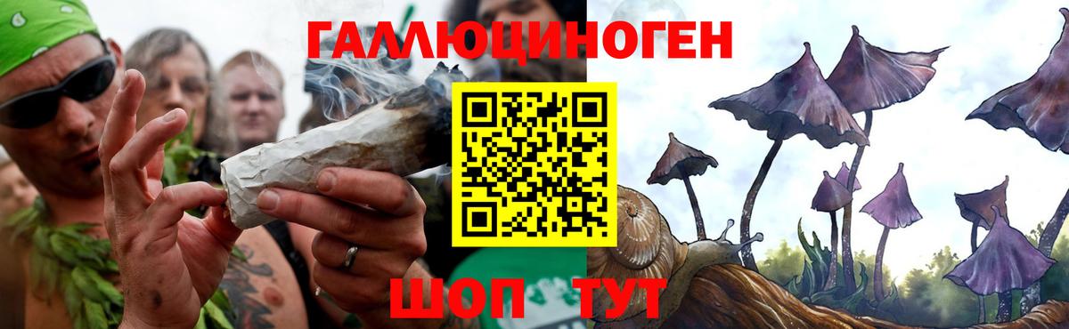 Псилоцибиновые грибы прущие грибы Сафоново